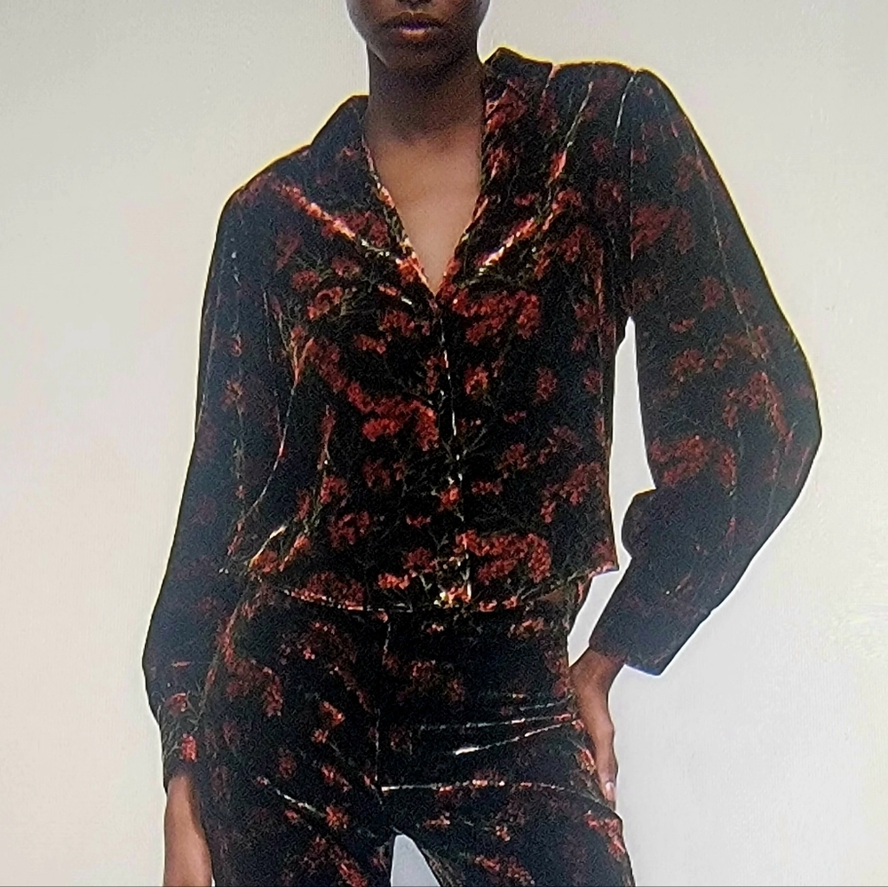 FINAL PRICE‼️ Velvet Blouse